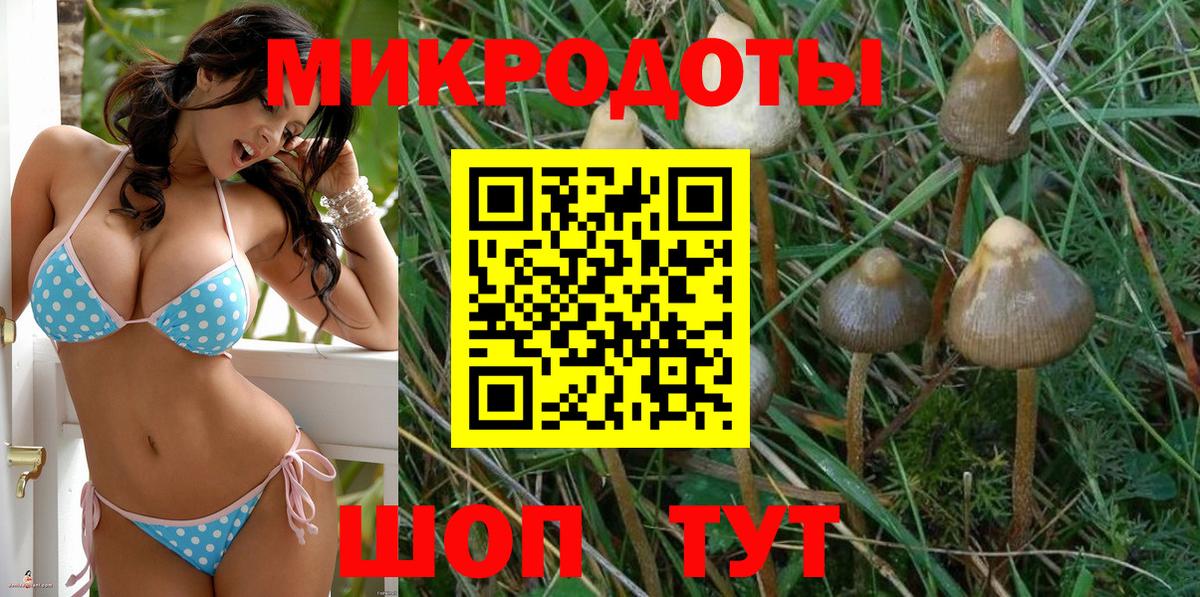 Волгоград  Псилоцибиновые грибы Psilocybe  Вход с VPN  Псилоцибиновые грибы Cubensis 