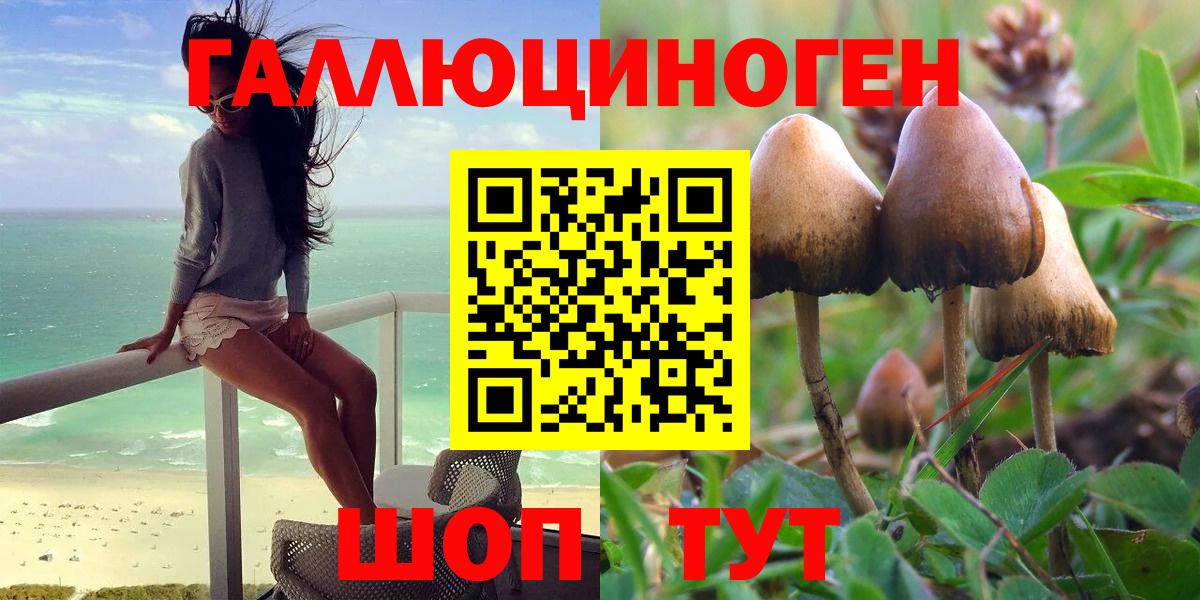 Галлюциногенные грибы GOLDEN TEACHER Волгоград